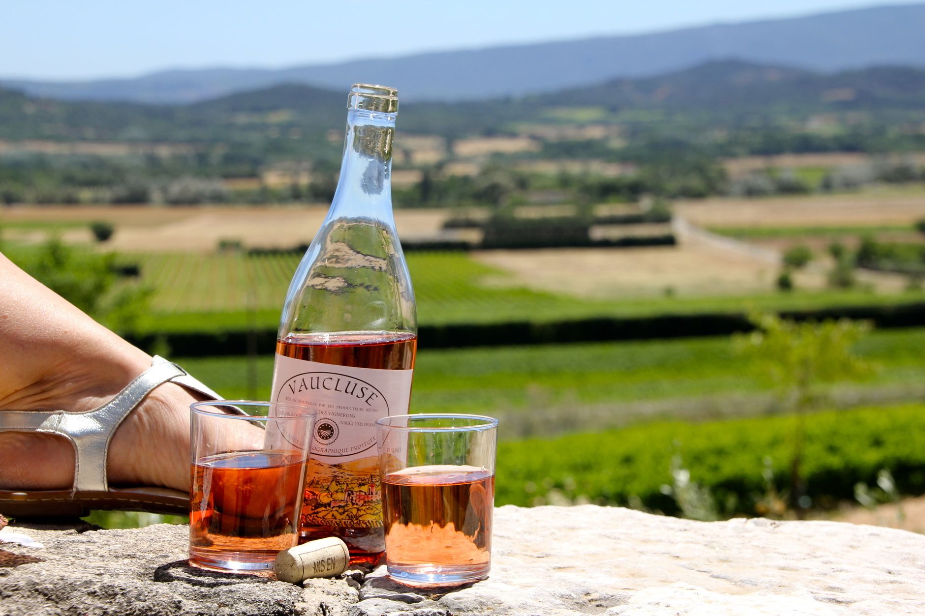 Guide privé dans un vignoble en France